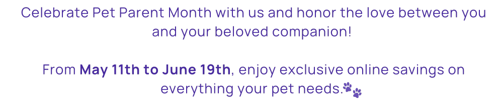 SALE EMAIL BANNER (1000 x 200 px) (6)